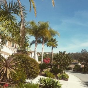 SD neighbourhood